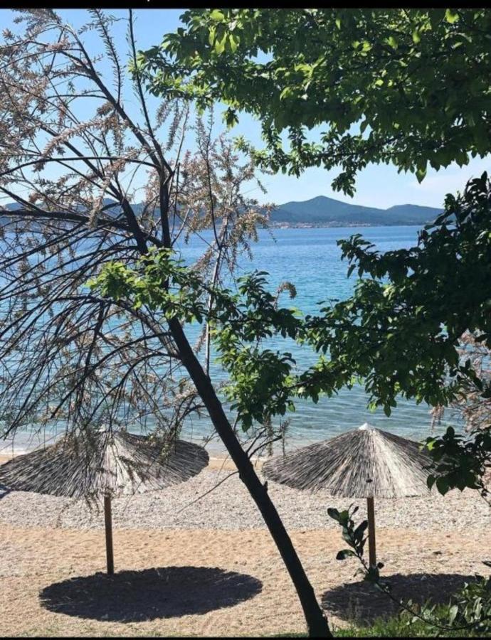 Luxury Majpruz Suites I Zadar Eksteriør billede